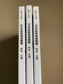 20天击碎阅读困难（3本合售）