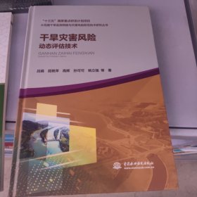 干旱灾害风险动态评估技术