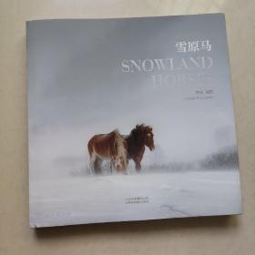 雪原馬