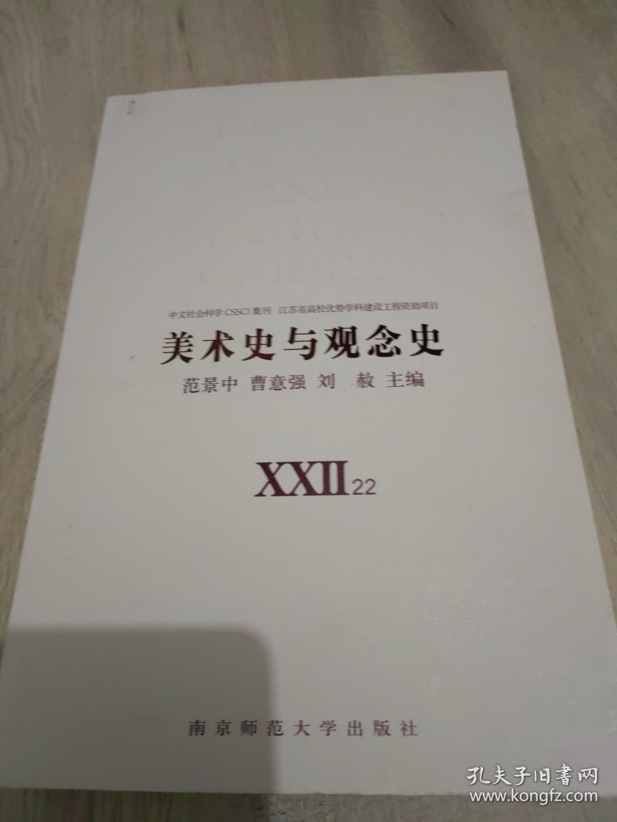 美术史与观念史22