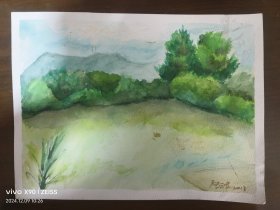 阿波，水墨画，画心尺寸为：26cm×19cm