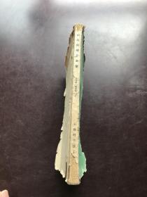 妇科疾病诊断学