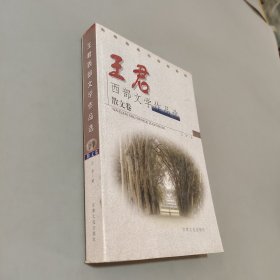 王君西部文學作品選