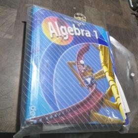 Glencoe Mcgraw-hill Algebra1散页装（外文原版）