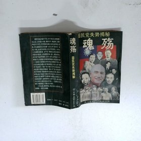 魂殇 国民党失势揭秘   继山 中国友谊出版公司