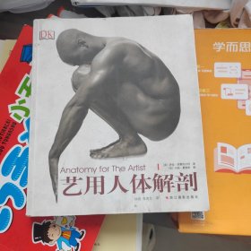 艺用人体解剖