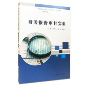 财务报告审计实训 【正版九新】