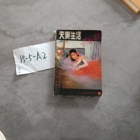 夫妻生活咨询手册续集