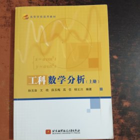 工科数学分析（上册）