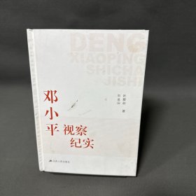邓小平视察纪实