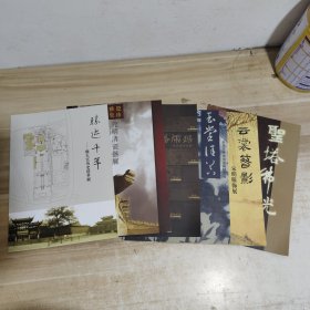 南京市博物馆馆藏精品展：元明清瓷器展、玉堂清香、云裳旧影、龙蟠虎踞、胜迹千年、圣塔佛光 6本合售