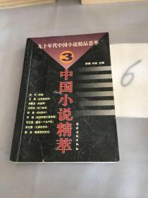 中国小说精萃:九十年代中国小说精品荟萃.3。。