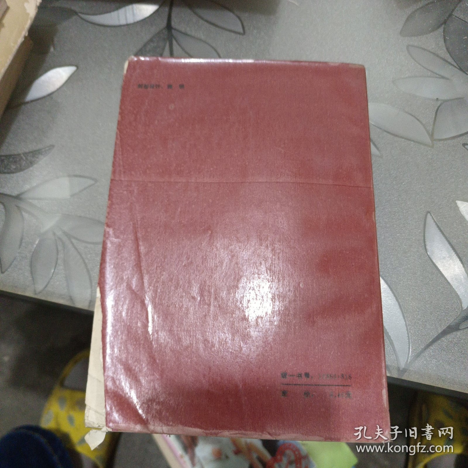 爱的寻求 乔治桑的一生