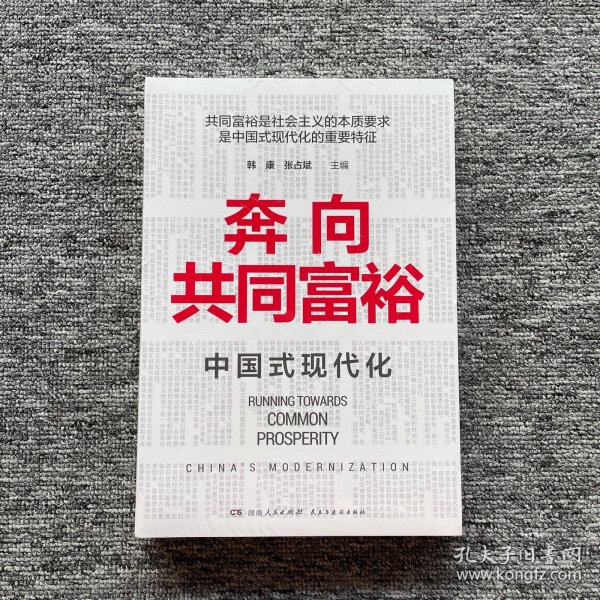 奔向共同富裕（读懂共同富裕，看清未来中国！深入浅出，雅俗共赏，两大TOP级智库联袂巨献，通俗理论重磅大作！）