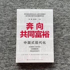 奔向共同富裕（读懂共同富裕，看清未来中国！深入浅出，雅俗共赏，两大TOP级智库联袂巨献，通俗理论重磅大作！）