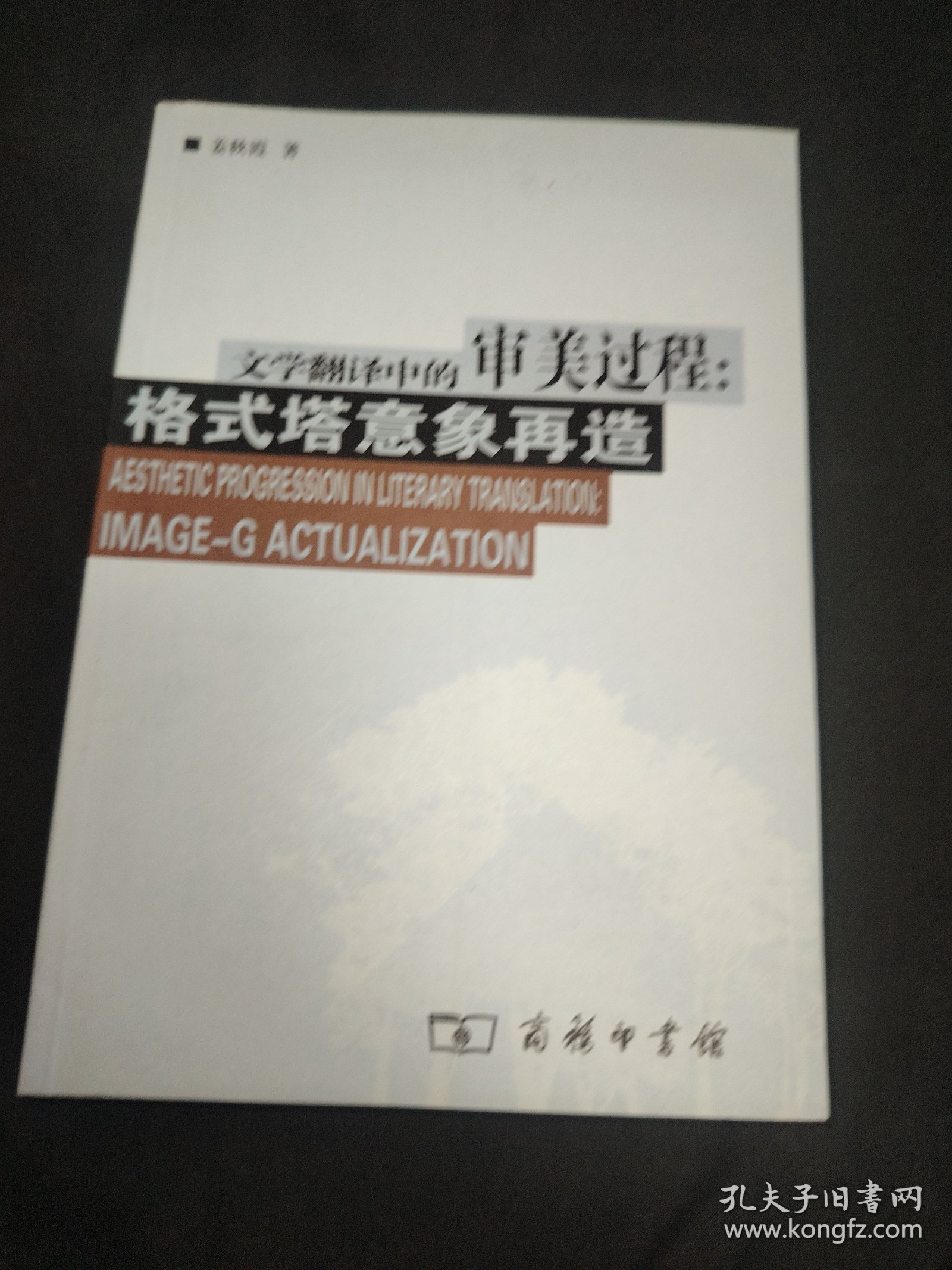 文学翻译中的审美过程：格式塔意象再造