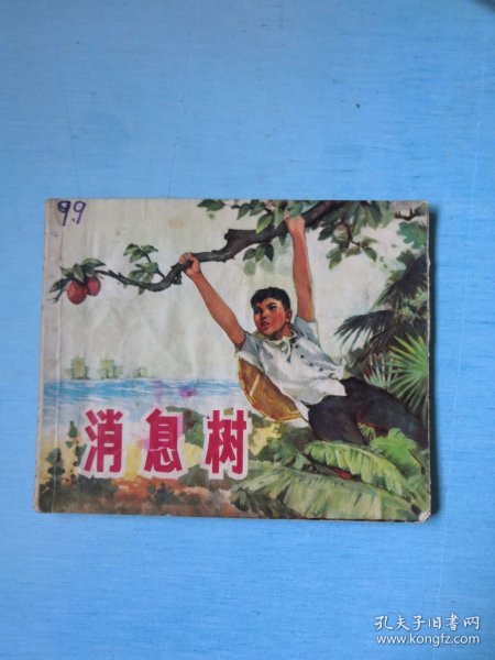 消息树