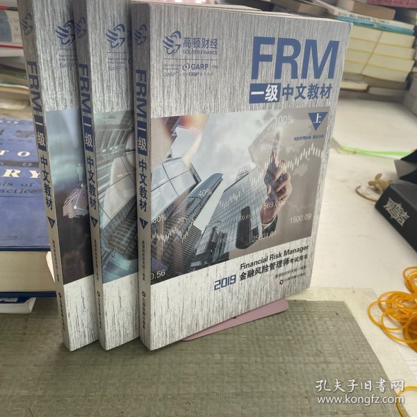 FRM一级中文教材