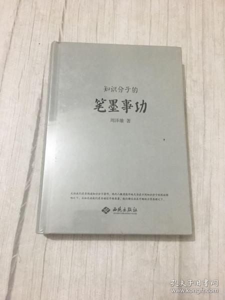 知识分子的笔墨事功