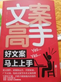 文案高手：好文案马上上手