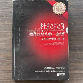 杜拉拉3：我在这战斗的一年里