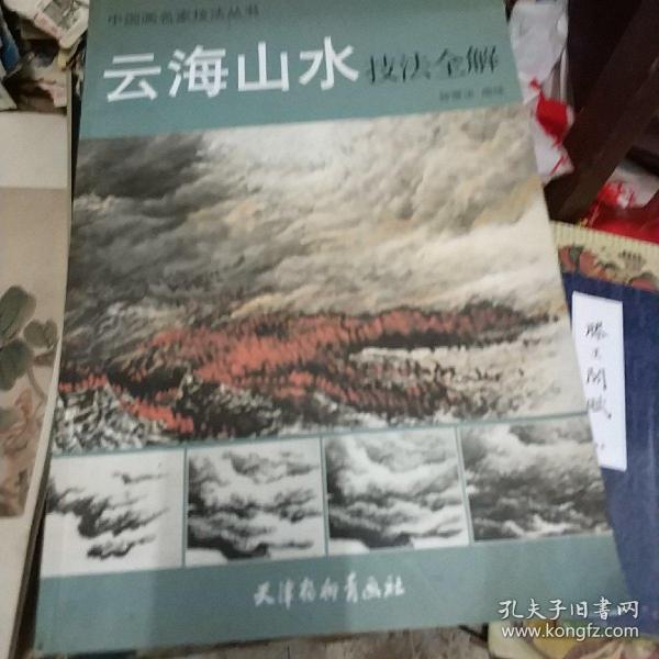 中国画名家技法丛书：云海山水技法全解