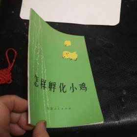 怎样孵化小鸡