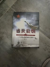 盛世狼烟：一个空军上校的国防沉思录