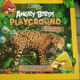 AngryBirdsPlayground:RainForest愤怒的小鸟游乐场：热带雨林精装