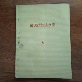 伟大领袖论政策
