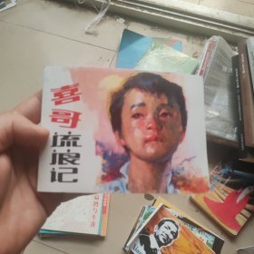 北京小学生连环画：喜哥流浪记