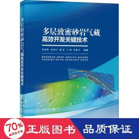 多层致密砂岩气藏高效开发关键技术 能源科学 作者