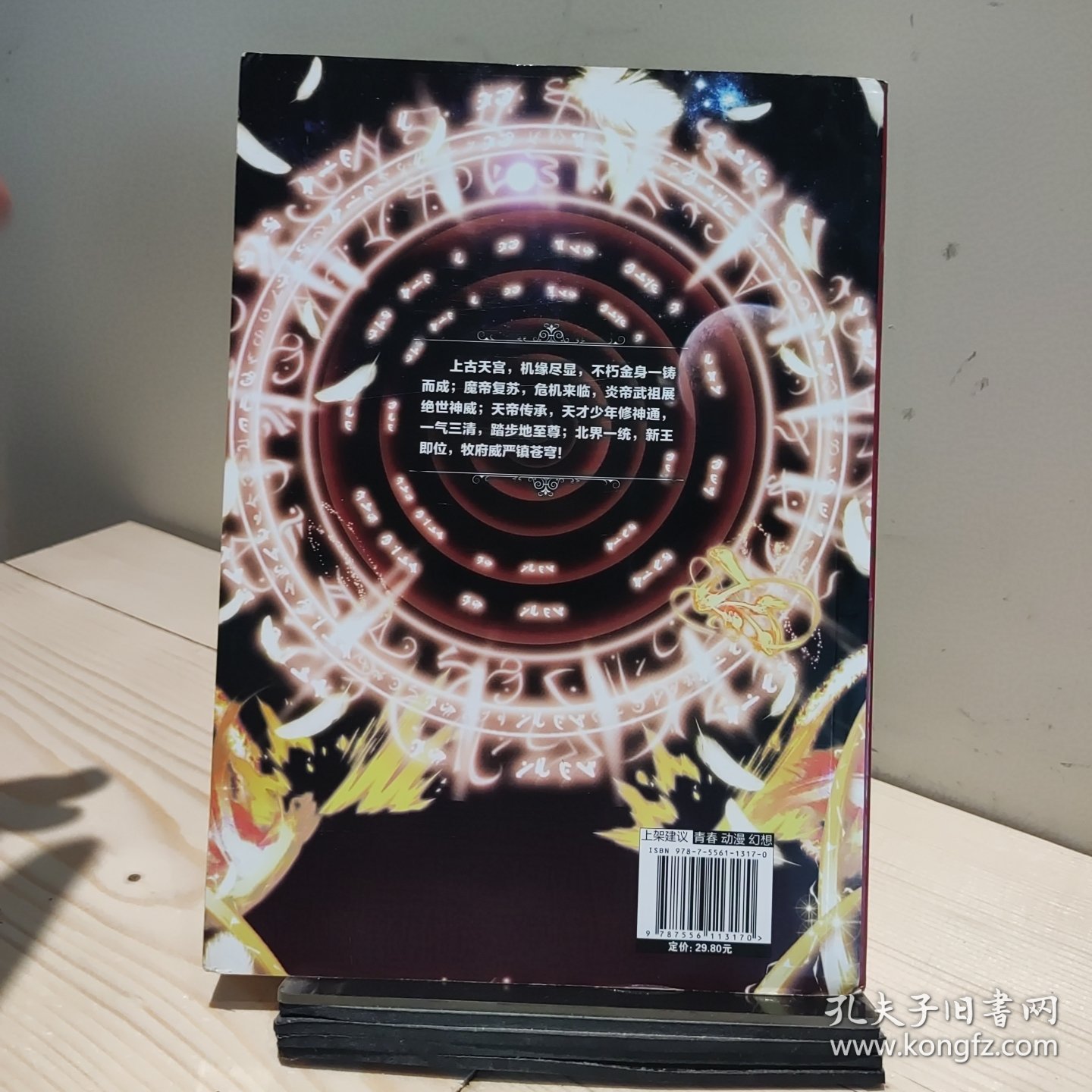 斗破苍穹之大主宰19