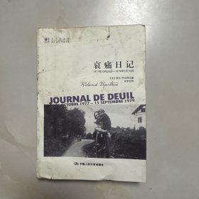 哀痛日记