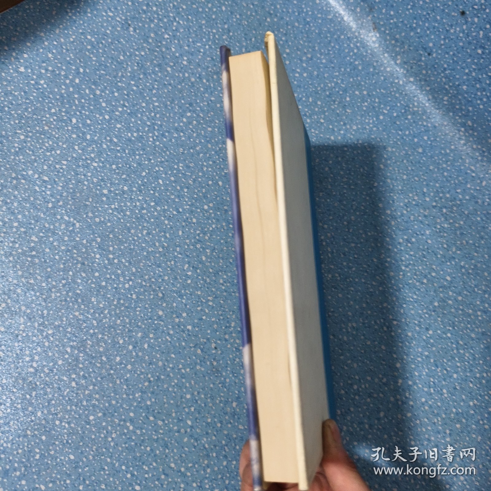 中国计算机精英志【精装本】