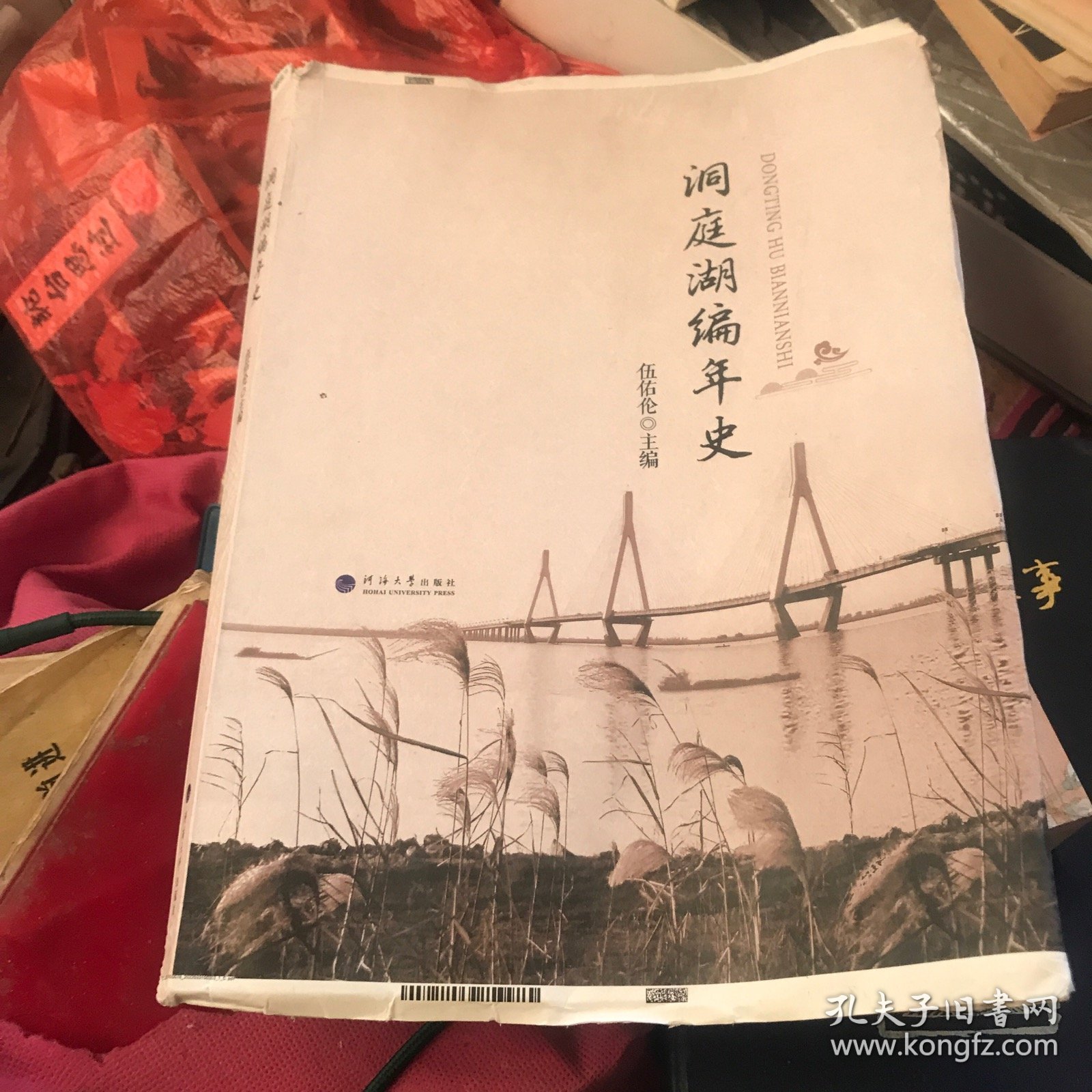 洞庭湖编年史（毛边书）