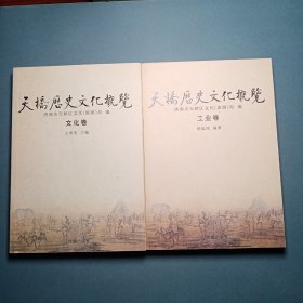 天桥历史文化概览：文化卷，工业卷