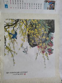 1978年挂历画片《园中迎春花开，杜鹃正红写此景色》1977年春质夫作。尺寸53X38Cm。