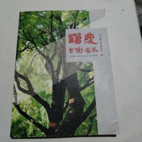 鹤庆古树名木（16开平装本，199页）