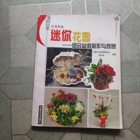 容器中的迷你花园：组合盆栽制作与欣赏