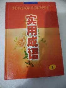 实用成语