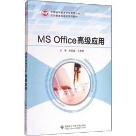 MS Office高级应用