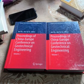 proceedings of china europe conference on geotechnical engineering1和2(二本合售)