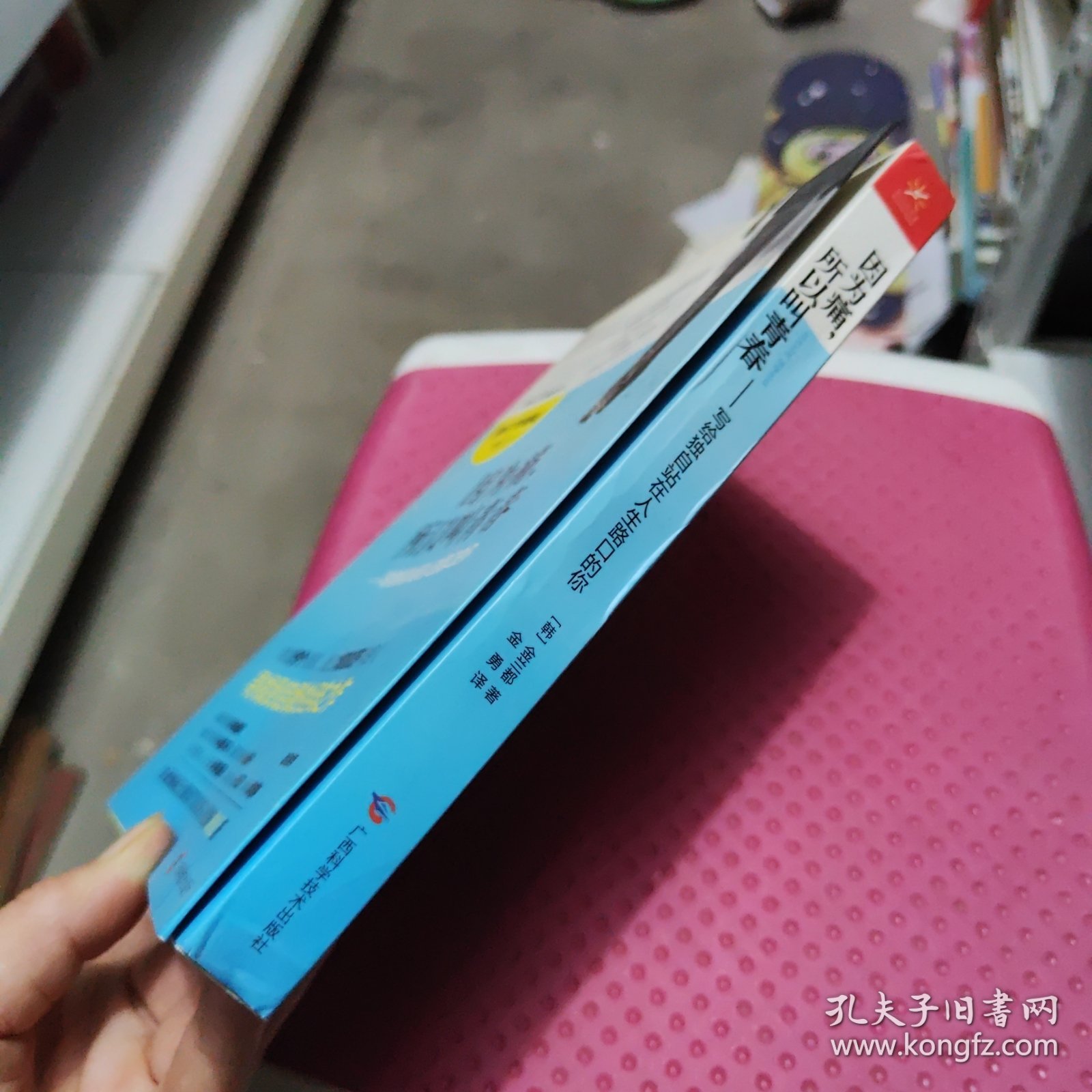 《因为痛，所以叫青春》修订版：——写给独自站在人生路口的你