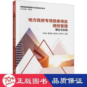 地方专项债券项目绩效管理 理论与实践 财政金融 作者