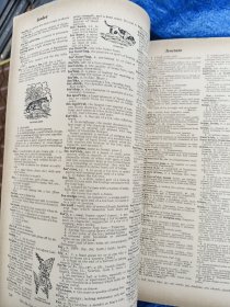 Webster's new Twentieth Century Dictionary of the English Language Unabridged 英文原版，1969，巨厚10.7cm。 大16开2400多页插绘带彩色插图。前后封用钢钉卯装。