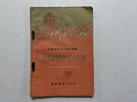 1956年一版一印《甘薯马铃薯丰产经验》