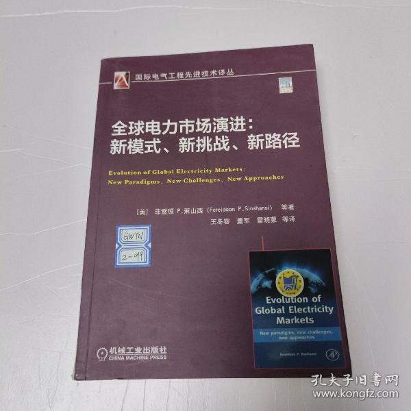 全球电力市场演进：新模式、新挑战、新路径