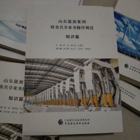 山东能源集团财务共享业务操作规范(知识篇)