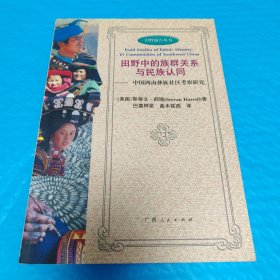 田野中的族群关系与民族认同：中国西南彝族社区考察研究 正版书籍，保存完好，实拍图片，一版一印